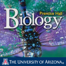 Fall 2012 MCB 181R Introductory Biology Fall 2012 MCB 181R Introductory Biology